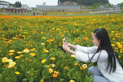 中國西充有機(jī)生活公園旅游攻略