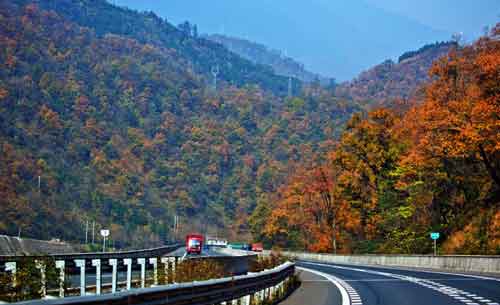 秋游正當時！成都租車旅游選哪一條？